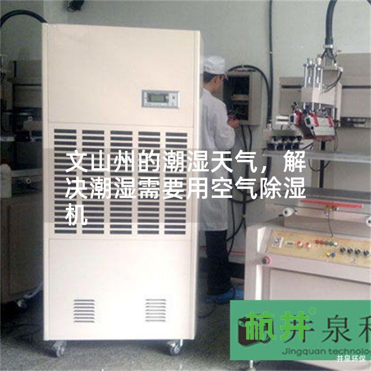 文山州的潮湿天气,解决潮湿需要用空气除湿机