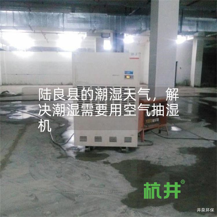 陆良县的潮湿天气,解决潮湿需要用空气抽湿机