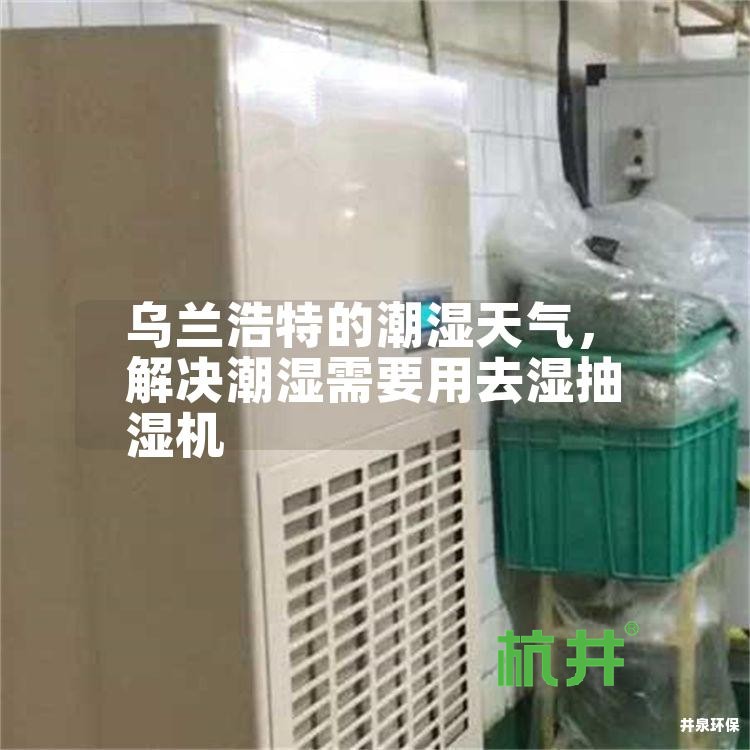 乌兰浩特的潮湿天气,解决潮湿需要用去湿抽湿机