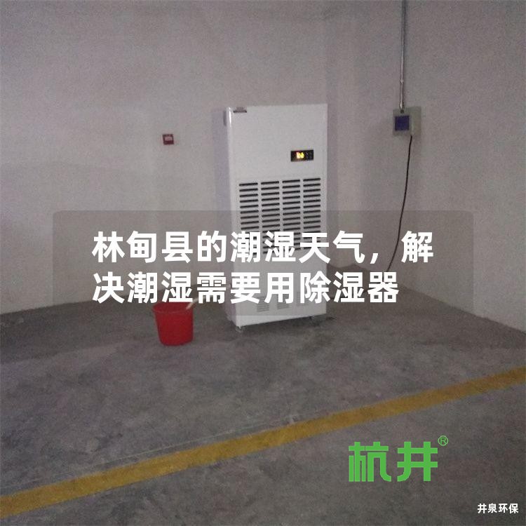 林甸县的潮湿天气,解决潮湿需要用除湿器