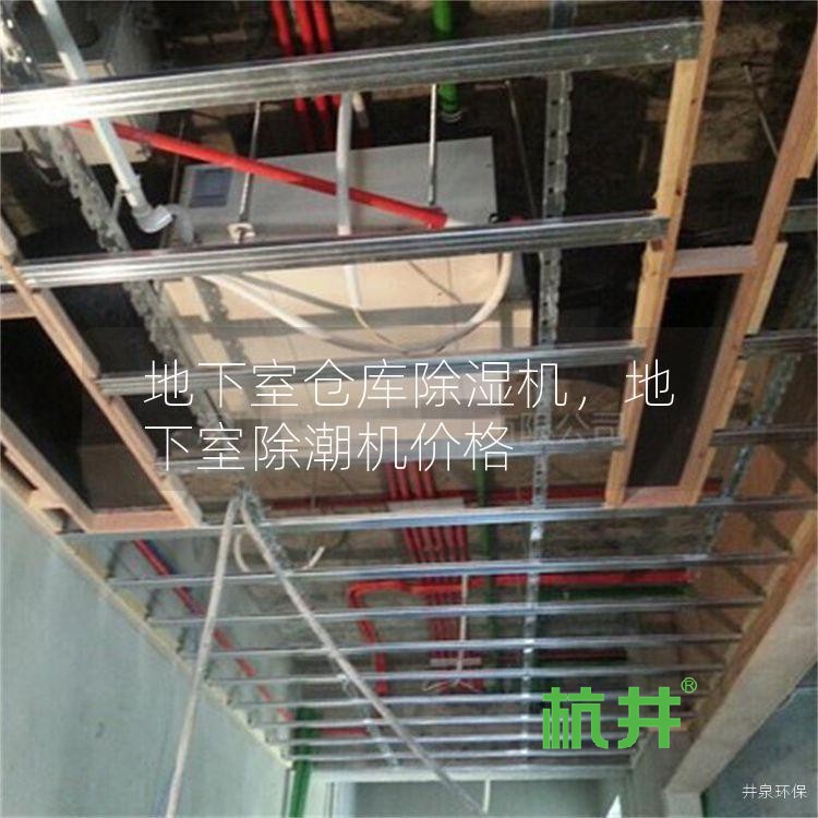 地下室仓库除湿机,地下室除潮机价格