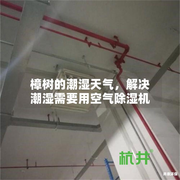 樟树的潮湿天气,解决潮湿需要用空气除湿机