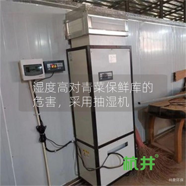 湿度高对青菜保鲜库的危害,采用抽湿机