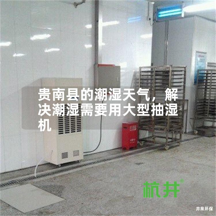 贵南县的潮湿天气,解决潮湿需要用大型抽湿机