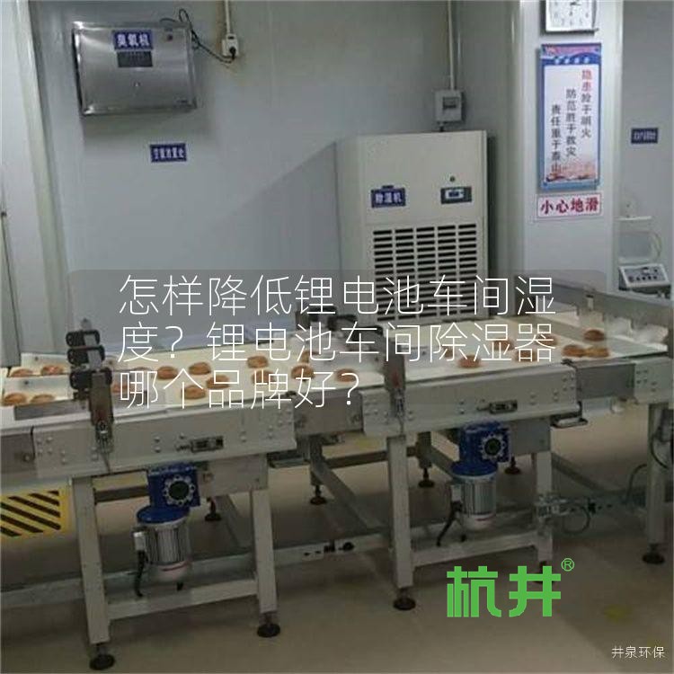 怎样降低锂电池车间湿度?锂电池车间除湿器哪个品牌好?