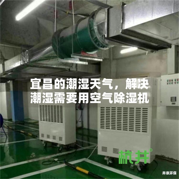 宜昌的潮湿天气,解决潮湿需要用空气除湿机