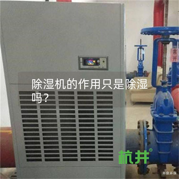除湿机的作用只是除湿吗?