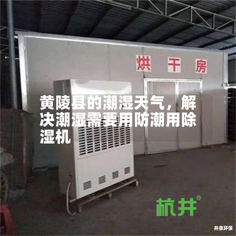 黄陵县的潮湿天气,解决潮湿需要用防潮用除湿机