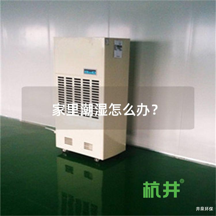 家里潮湿怎么办?