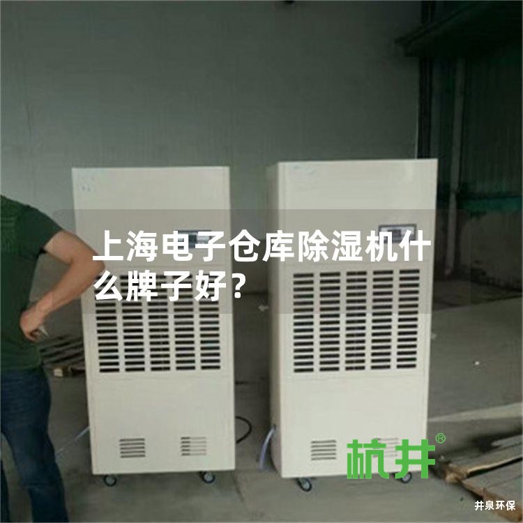 上海电子仓库除湿机什么牌子好?