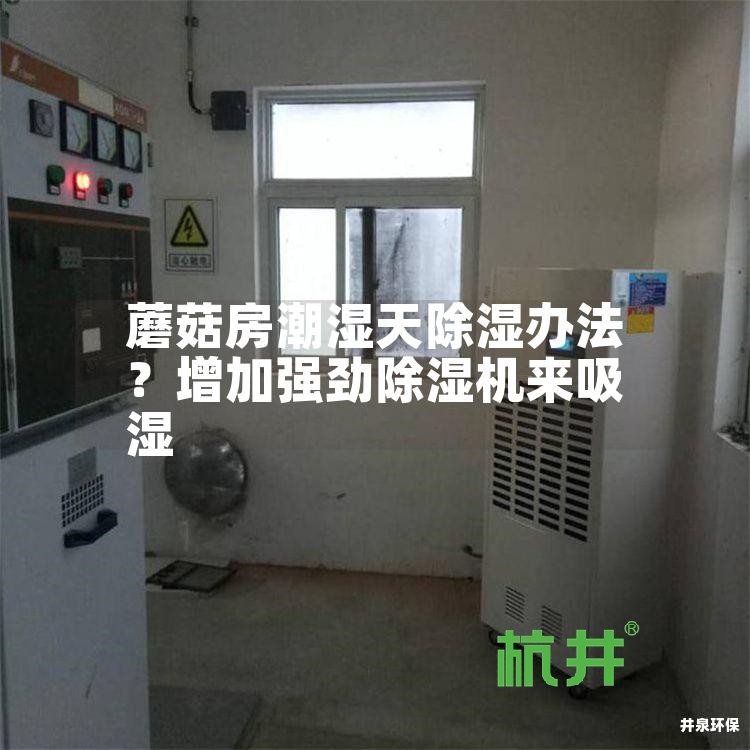 蘑菇房潮湿天除湿办法?增加强劲除湿机来吸湿