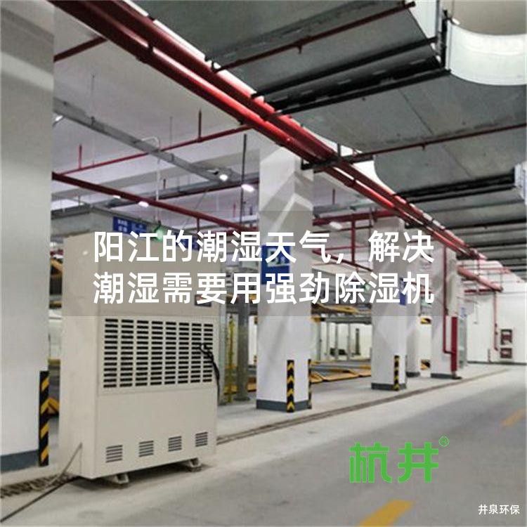 阳江的潮湿天气,解决潮湿需要用强劲除湿机
