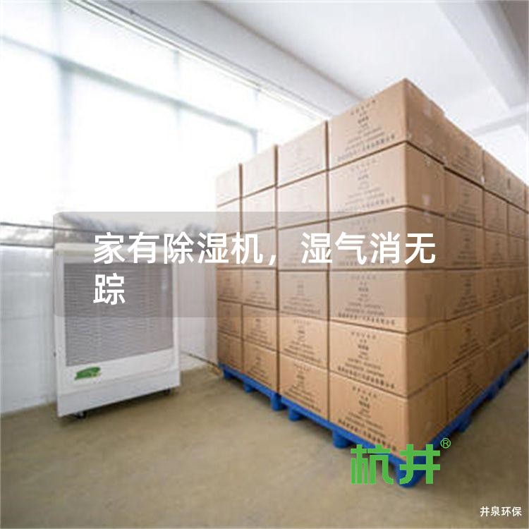 家有除湿机,湿气消无踪