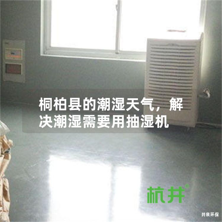 桐柏县的潮湿天气,解决潮湿需要用抽湿机