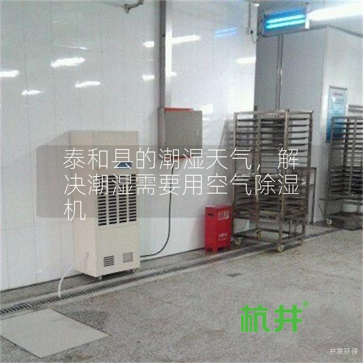 泰和县的潮湿天气,解决潮湿需要用空气除湿机