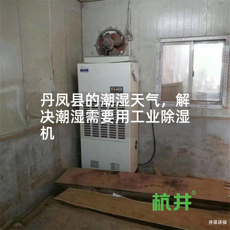 丹凤县的潮湿天气,解决潮湿需要用工业除湿机