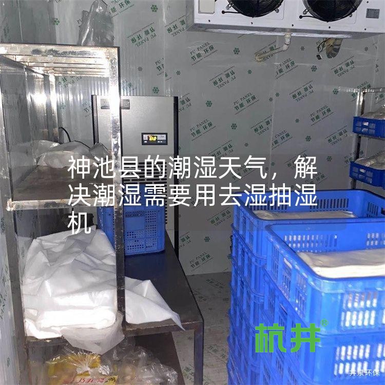 神池县的潮湿天气,解决潮湿需要用去湿抽湿机