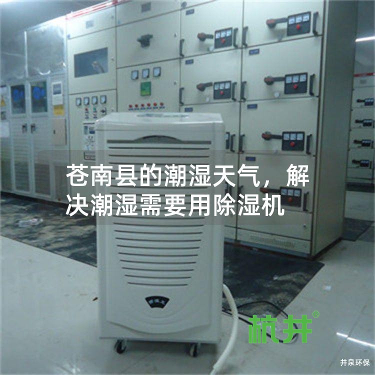 苍南县的潮湿天气,解决潮湿需要用除湿机