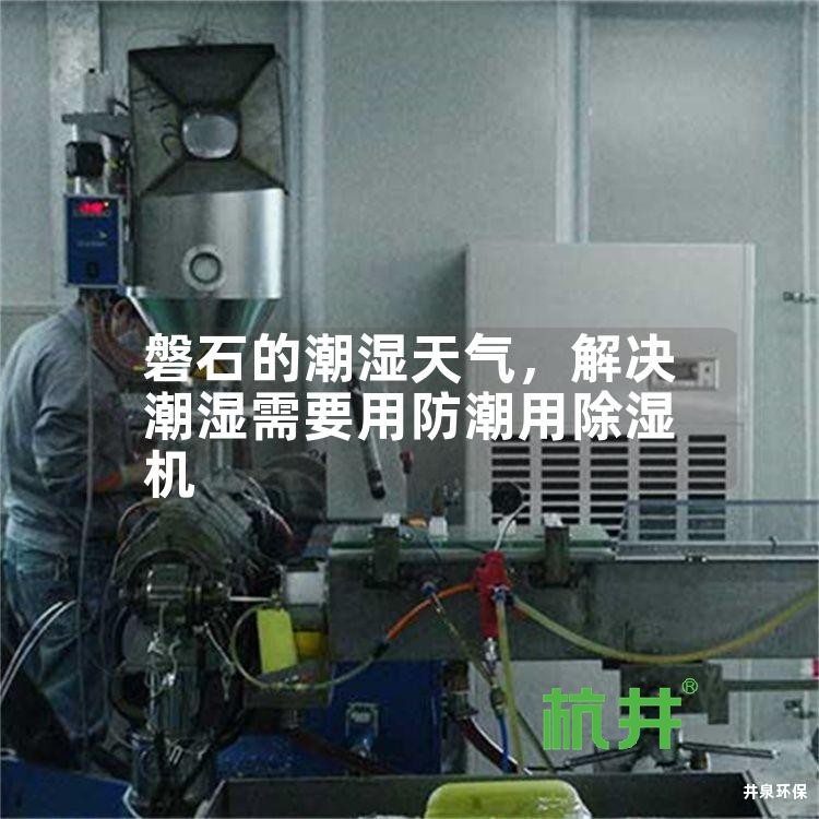 磐石的潮湿天气,解决潮湿需要用防潮用除湿机