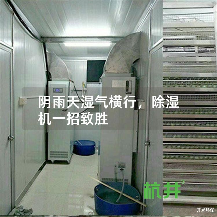 阴雨天湿气横行,除湿机一招致胜