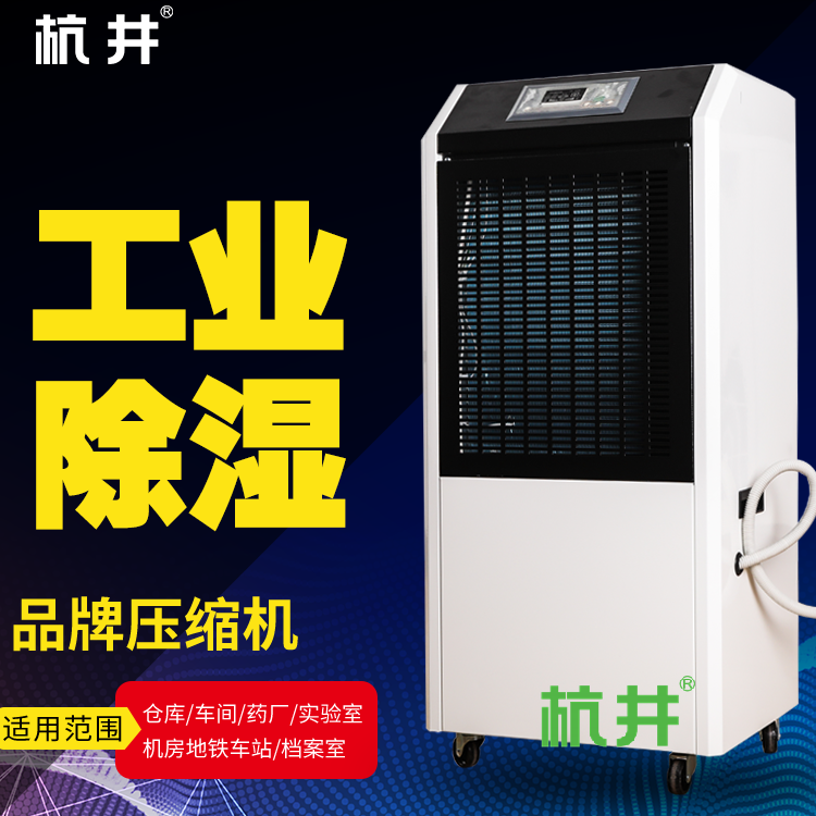 别墅除湿方案:选择吊顶新风除湿机还是独立式除湿机?