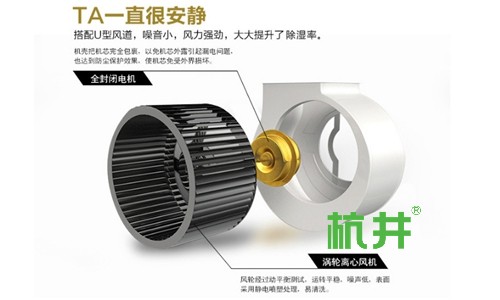 除湿机到底有用吗