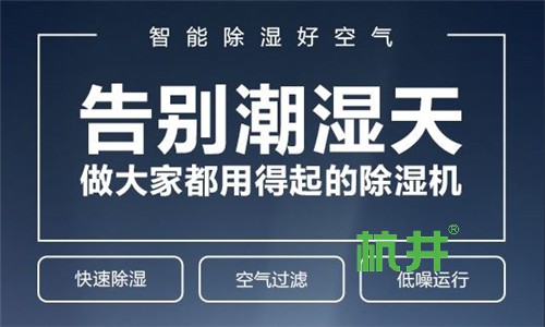 打造豆制品美味风味的HJ-45G豆腐烘干机