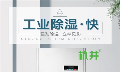 伊犁地区雨季如何防潮-空气除湿机