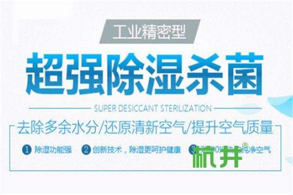 可持续的除湿机营销策略引领行业潮流